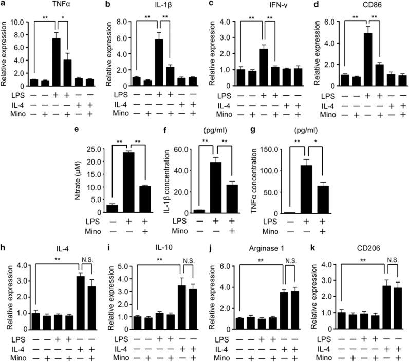 https://cdn.ncbi.nlm.nih.gov/pmc/blobs/3649/3613832/f0a5c6e86845/cddis201354f6.jpg