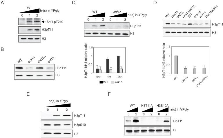 https://cdn.ncbi.nlm.nih.gov/pmc/blobs/364e/7781599/dfc105ee2f41/elife-64588-fig1.jpg