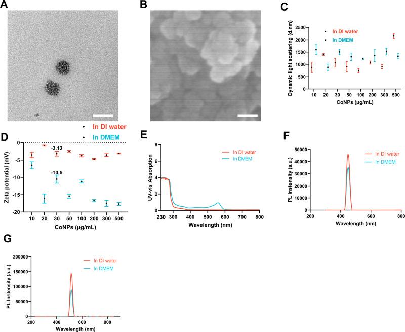 https://cdn.ncbi.nlm.nih.gov/pmc/blobs/364f/11394346/5821c643d2f1/nn4c05249_0001.jpg