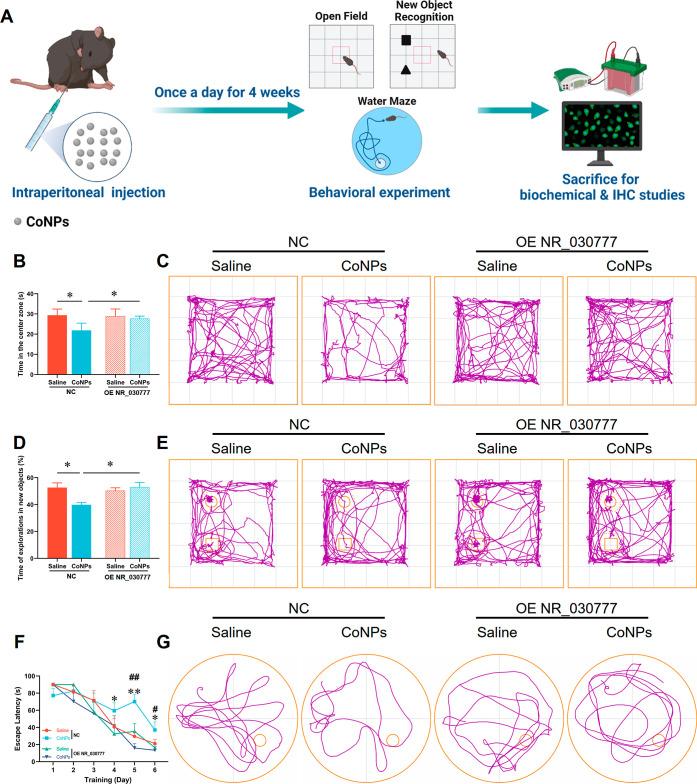 https://cdn.ncbi.nlm.nih.gov/pmc/blobs/364f/11394346/6d2e2ee83f3c/nn4c05249_0011.jpg