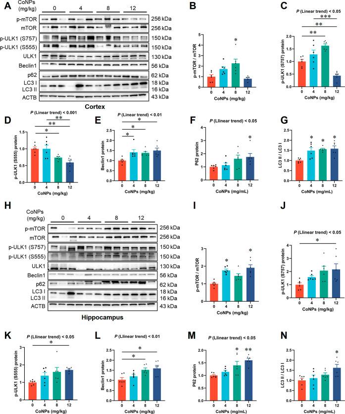https://cdn.ncbi.nlm.nih.gov/pmc/blobs/364f/11394346/7b255012cdea/nn4c05249_0005.jpg