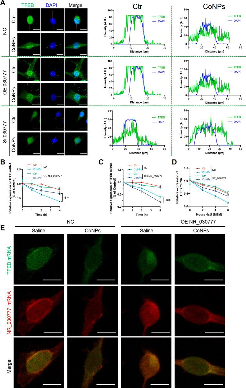 https://cdn.ncbi.nlm.nih.gov/pmc/blobs/364f/11394346/80b2c4b3a7bf/nn4c05249_0010.jpg
