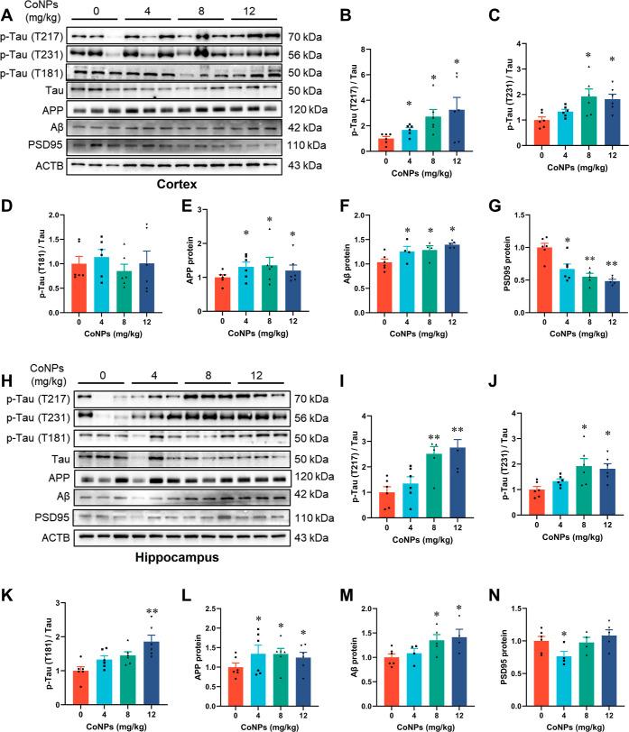 https://cdn.ncbi.nlm.nih.gov/pmc/blobs/364f/11394346/a55b376f292d/nn4c05249_0003.jpg