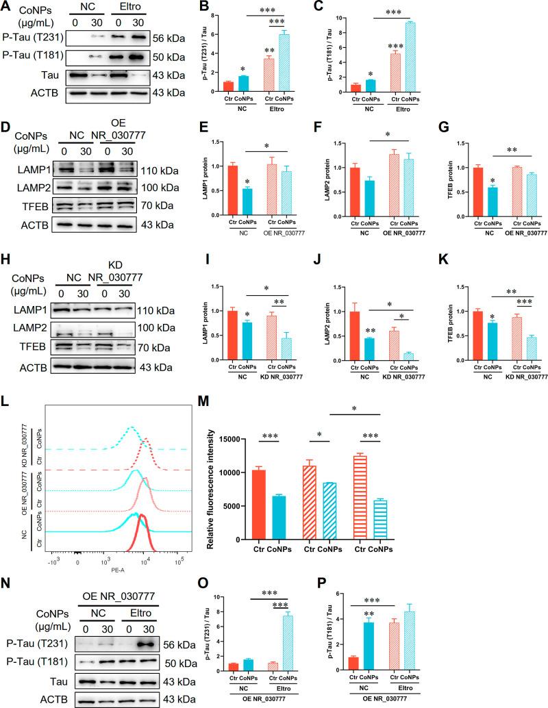 https://cdn.ncbi.nlm.nih.gov/pmc/blobs/364f/11394346/fdd94c71d64a/nn4c05249_0009.jpg