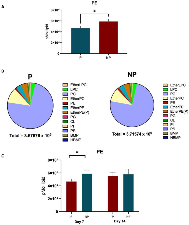 https://cdn.ncbi.nlm.nih.gov/pmc/blobs/364f/11508387/deb990d9dc1f/ijms-25-11073-g005.jpg