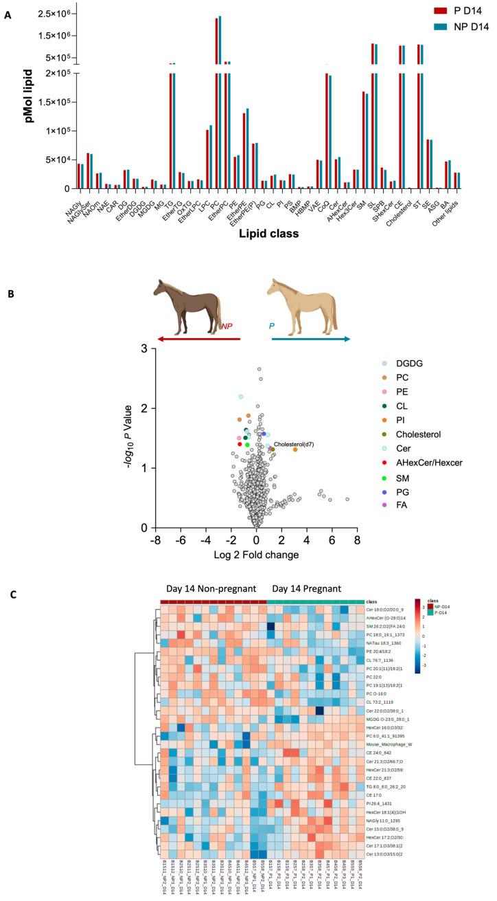 https://cdn.ncbi.nlm.nih.gov/pmc/blobs/364f/11508387/e03325e636c1/ijms-25-11073-g002.jpg