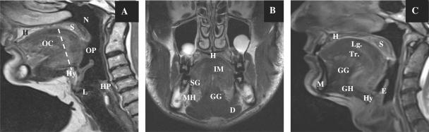 https://cdn.ncbi.nlm.nih.gov/pmc/blobs/3650/2842176/531d34256399/ci10000801.jpg
