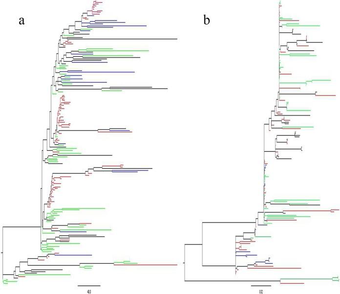 https://cdn.ncbi.nlm.nih.gov/pmc/blobs/3650/5717212/204e5c7f890d/zam9991181820002.jpg
