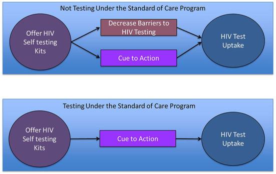 https://cdn.ncbi.nlm.nih.gov/pmc/blobs/3650/9853377/7974a3e50d1f/fpubh-10-880070-g0001.jpg
