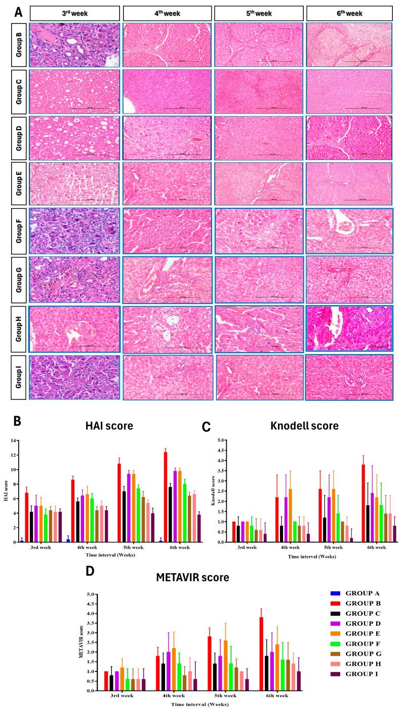 https://cdn.ncbi.nlm.nih.gov/pmc/blobs/3651/10931218/1c9558b516b2/cells-13-00404-g006.jpg