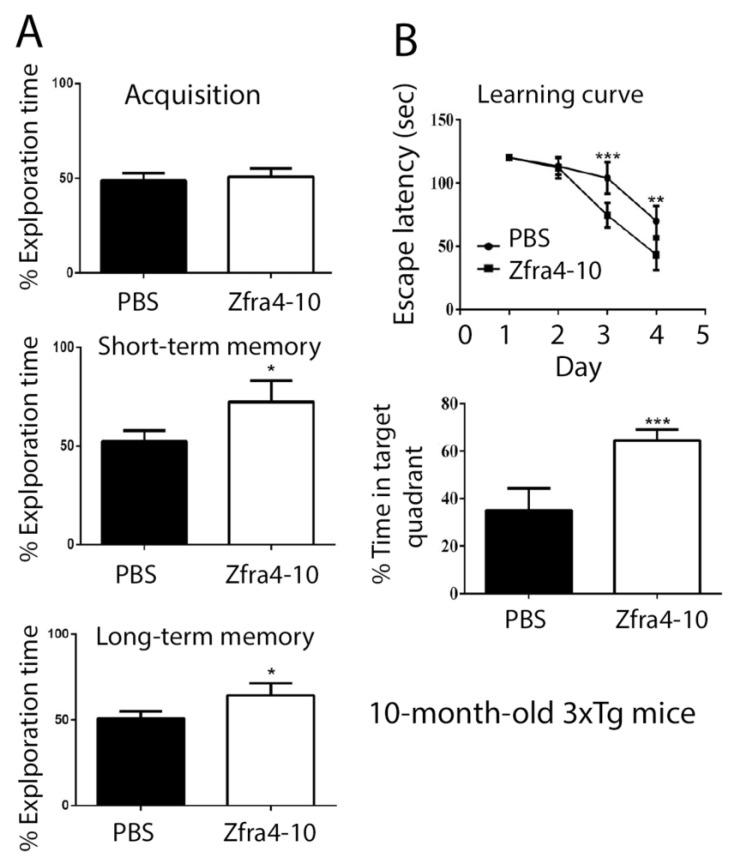 https://cdn.ncbi.nlm.nih.gov/pmc/blobs/3651/9739312/07f28c4d3e96/ijms-23-14510-g003.jpg