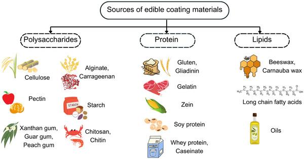 https://cdn.ncbi.nlm.nih.gov/pmc/blobs/3653/12079166/3113586f091f/CRF3-24-e70179-g014.jpg