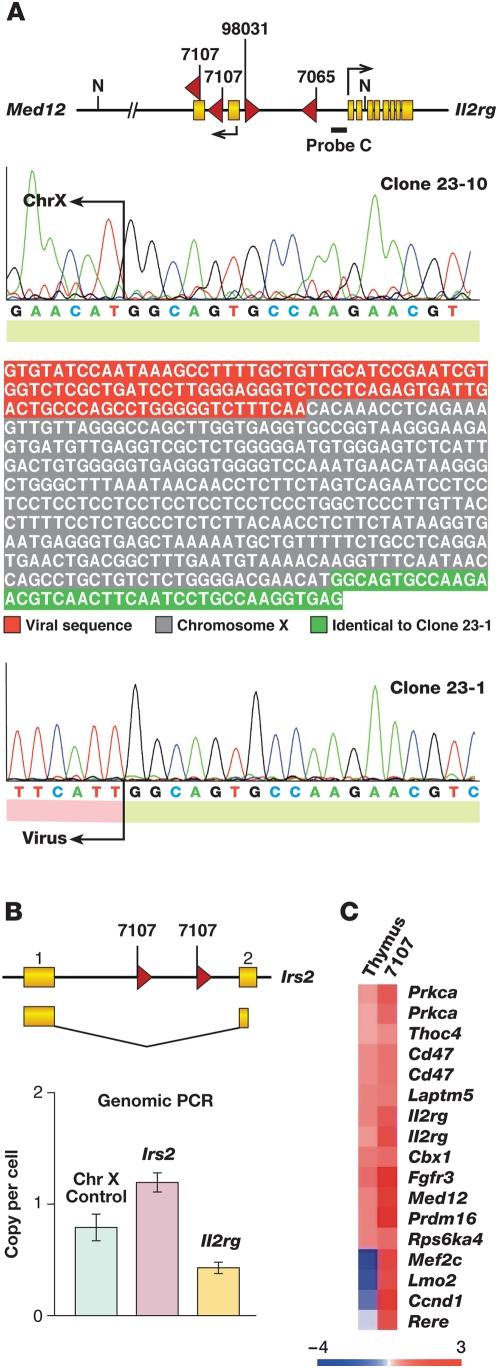 https://cdn.ncbi.nlm.nih.gov/pmc/blobs/3653/2679194/1a1be5deaf6d/pgen.1000491.g002.jpg