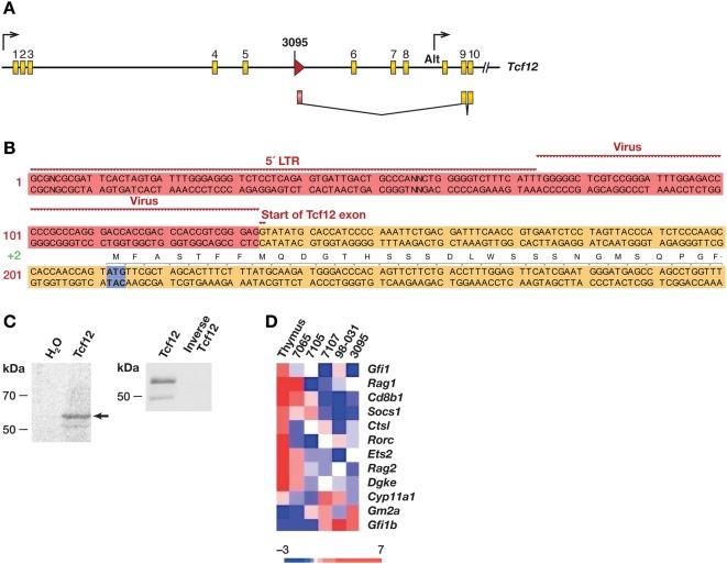 https://cdn.ncbi.nlm.nih.gov/pmc/blobs/3653/2679194/2f5247cb5513/pgen.1000491.g004.jpg