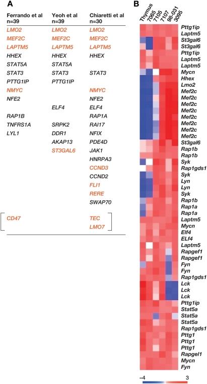 https://cdn.ncbi.nlm.nih.gov/pmc/blobs/3653/2679194/ad9afa53cb46/pgen.1000491.g005.jpg