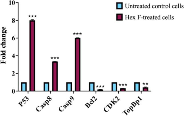 https://cdn.ncbi.nlm.nih.gov/pmc/blobs/3655/12263522/0fd53f29c46a/13205_2025_4423_Fig2_HTML.jpg