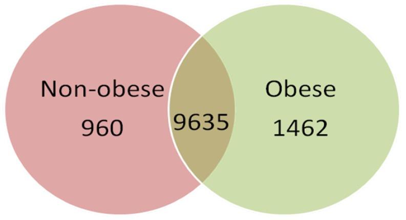 https://cdn.ncbi.nlm.nih.gov/pmc/blobs/3656/4425045/dd46ed83724f/ijms-16-07723-g001.jpg