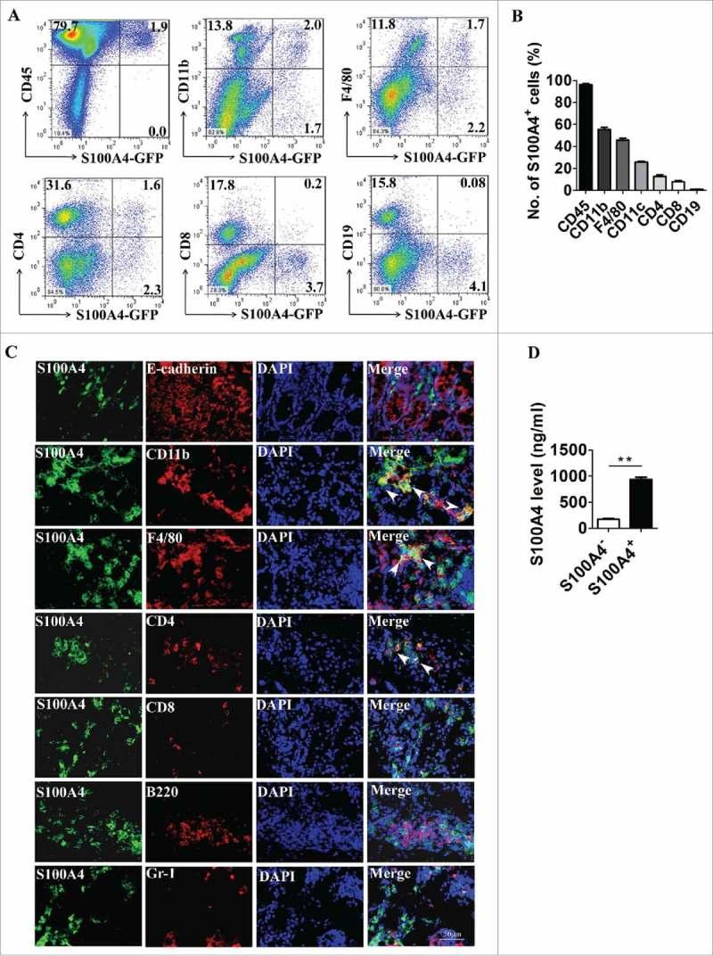 https://cdn.ncbi.nlm.nih.gov/pmc/blobs/3656/6136879/0c56d40d5dc4/koni-07-08-1461301-g002.jpg