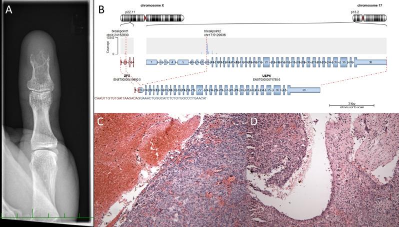 https://cdn.ncbi.nlm.nih.gov/pmc/blobs/365b/12171395/2978800120c4/jcp-78-6-g001.jpg