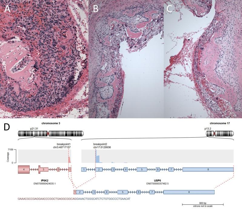 https://cdn.ncbi.nlm.nih.gov/pmc/blobs/365b/12171395/9ad5b48dfba7/jcp-78-6-g003.jpg