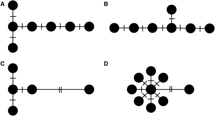 https://cdn.ncbi.nlm.nih.gov/pmc/blobs/365e/5703179/421655b57532/apps.1700053fig4.jpg