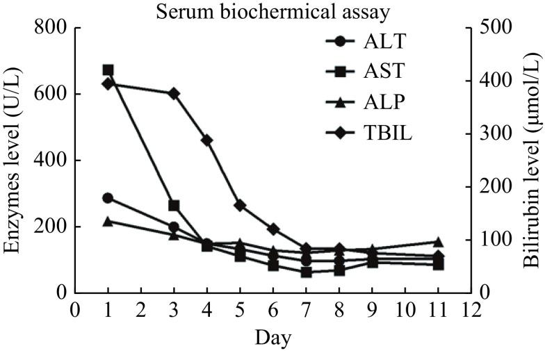 https://cdn.ncbi.nlm.nih.gov/pmc/blobs/365e/9179110/e59046e819f9/jbr-36-3-215-1.jpg