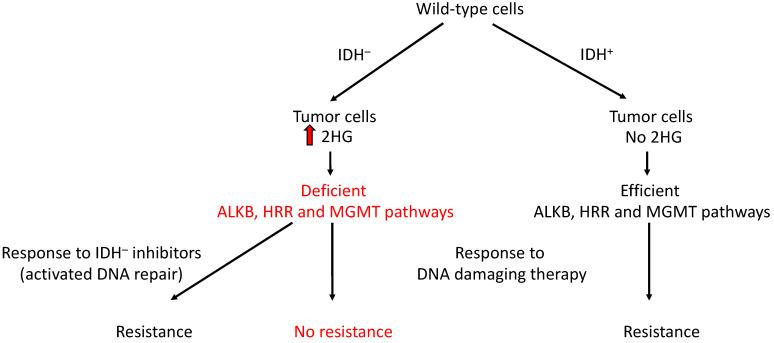https://cdn.ncbi.nlm.nih.gov/pmc/blobs/3660/11355010/62bc19dcdf83/ijms-25-09054-g006.jpg
