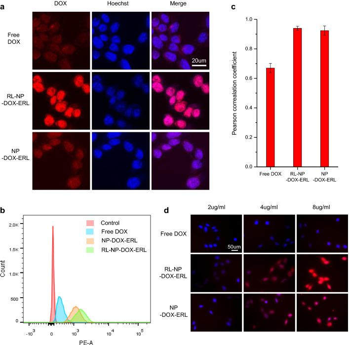 https://cdn.ncbi.nlm.nih.gov/pmc/blobs/3664/8650405/518db21590b1/12951_2021_1160_Fig3_HTML.jpg
