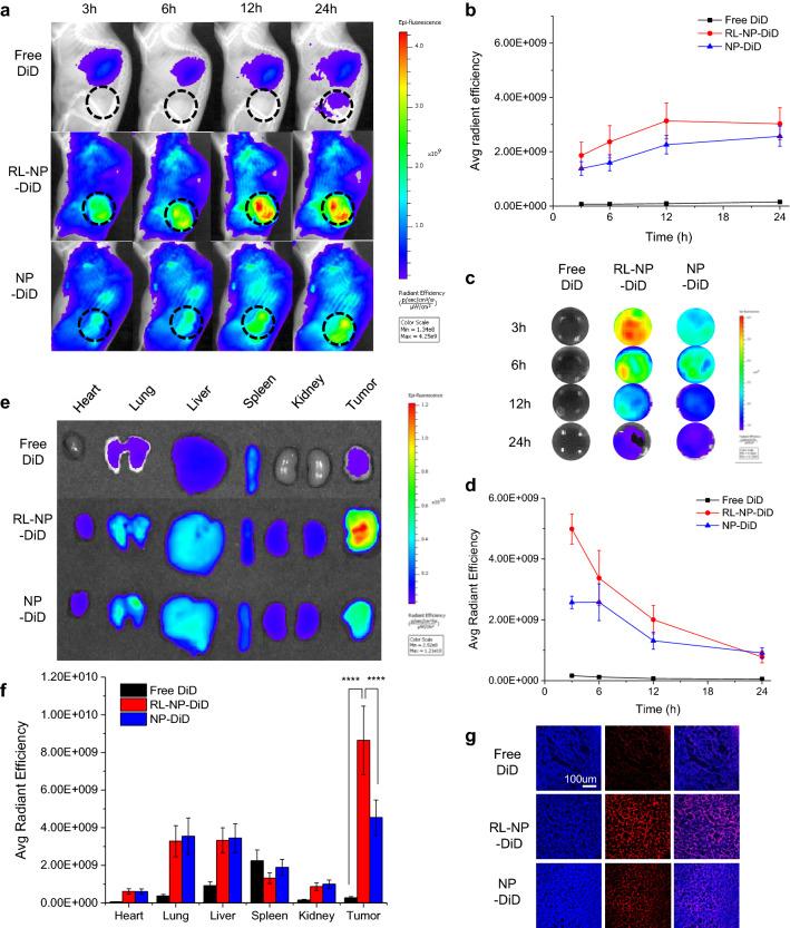 https://cdn.ncbi.nlm.nih.gov/pmc/blobs/3664/8650405/84669a5ea0c1/12951_2021_1160_Fig4_HTML.jpg