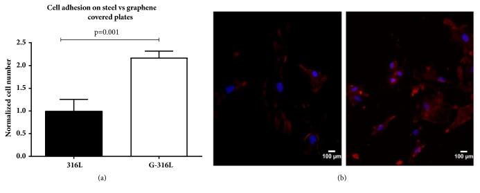 https://cdn.ncbi.nlm.nih.gov/pmc/blobs/3669/6193326/a44c1b243397/BMRI2018-2758347.004.jpg