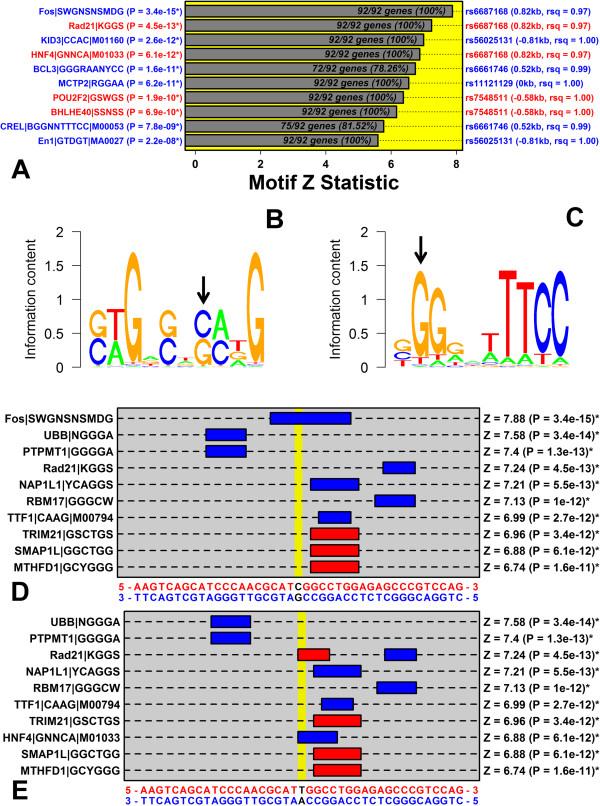 https://cdn.ncbi.nlm.nih.gov/pmc/blobs/366a/4060870/639409317318/1755-8794-7-27-8.jpg
