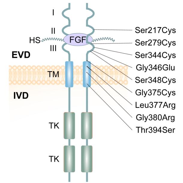 https://cdn.ncbi.nlm.nih.gov/pmc/blobs/366d/12008630/a33a1e13eaa5/gr1.jpg