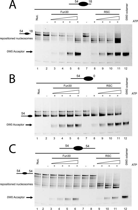 https://cdn.ncbi.nlm.nih.gov/pmc/blobs/366d/2843198/64d708b06978/zbc0151009550006.jpg