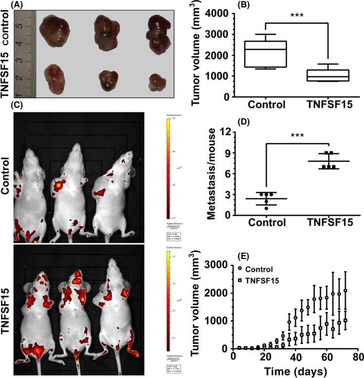 https://cdn.ncbi.nlm.nih.gov/pmc/blobs/366f/6113425/40f8e995fee7/CAS-109-2469-g001.jpg