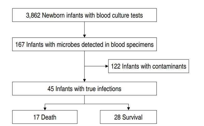 https://cdn.ncbi.nlm.nih.gov/pmc/blobs/366f/6351802/81244db8d7a5/kjp-2018-06807f1.jpg
