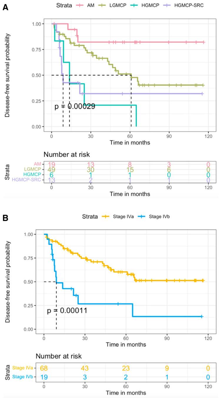 https://cdn.ncbi.nlm.nih.gov/pmc/blobs/3670/10340652/dc9e0635f34c/cancers-15-03426-g003.jpg