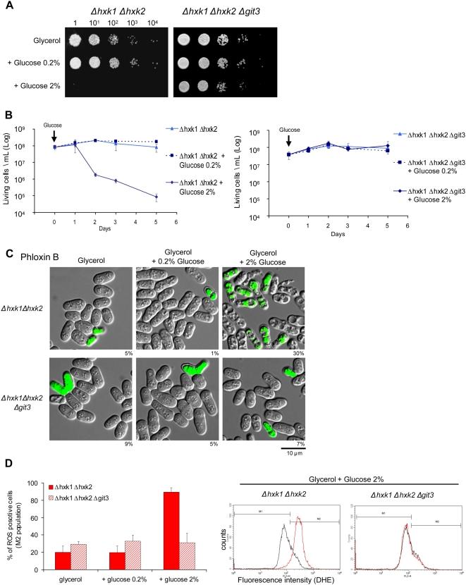 https://cdn.ncbi.nlm.nih.gov/pmc/blobs/3671/2646135/3d4e343a2339/pgen.1000408.g006.jpg
