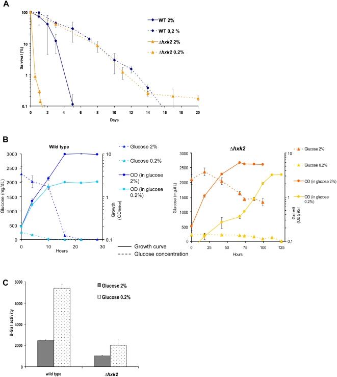 https://cdn.ncbi.nlm.nih.gov/pmc/blobs/3671/2646135/40bd8ad61bff/pgen.1000408.g005.jpg