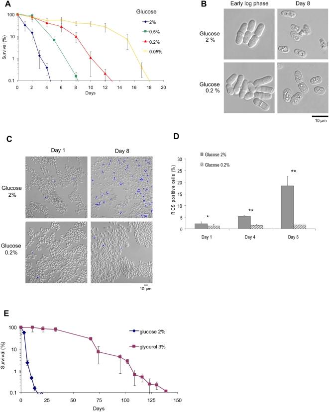 https://cdn.ncbi.nlm.nih.gov/pmc/blobs/3671/2646135/426c8d3fc38e/pgen.1000408.g001.jpg
