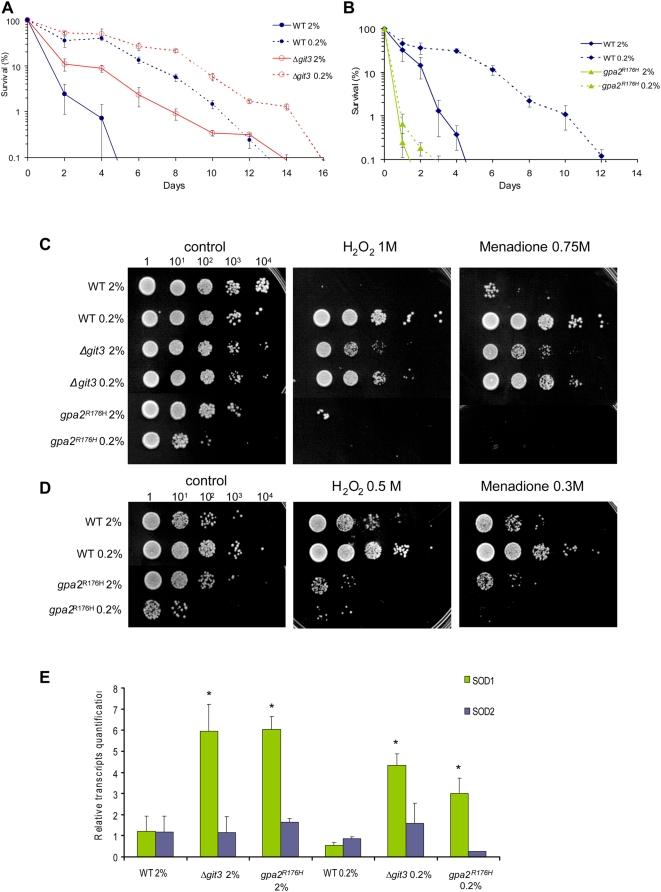 https://cdn.ncbi.nlm.nih.gov/pmc/blobs/3671/2646135/83e97aae22db/pgen.1000408.g004.jpg