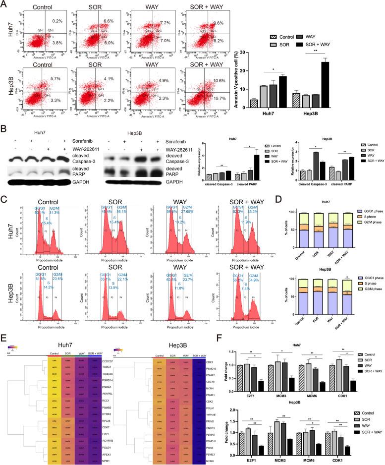 https://cdn.ncbi.nlm.nih.gov/pmc/blobs/3672/10680194/8561d1f10fd2/12964_2023_1355_Fig3_HTML.jpg