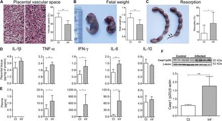 https://cdn.ncbi.nlm.nih.gov/pmc/blobs/3676/7056302/551e87c43e40/aax6346-F3.jpg