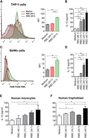 https://cdn.ncbi.nlm.nih.gov/pmc/blobs/3676/7056302/6db7f6bc200d/aax6346-F2.jpg