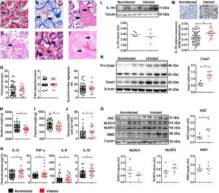 https://cdn.ncbi.nlm.nih.gov/pmc/blobs/3676/7056302/a2d62197fc23/aax6346-F1.jpg