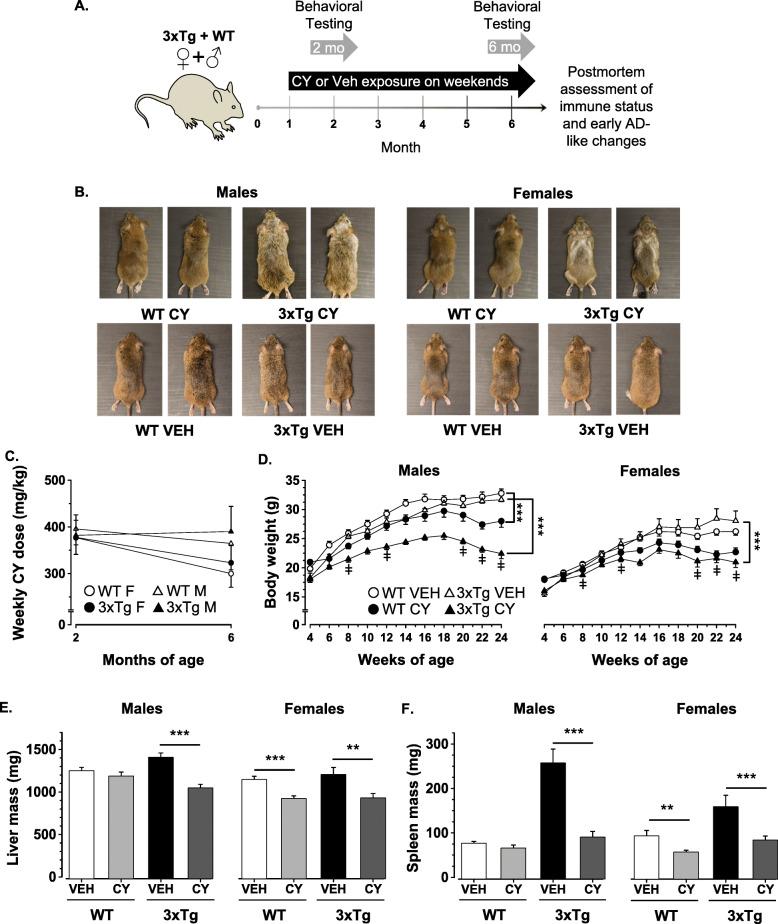 https://cdn.ncbi.nlm.nih.gov/pmc/blobs/367a/7818784/74db91357e0a/13195_2020_745_Fig1_HTML.jpg