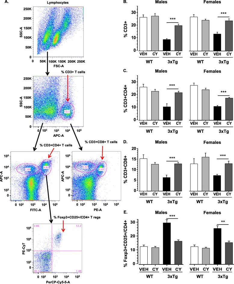 https://cdn.ncbi.nlm.nih.gov/pmc/blobs/367a/7818784/dabb46e58edb/13195_2020_745_Fig2_HTML.jpg