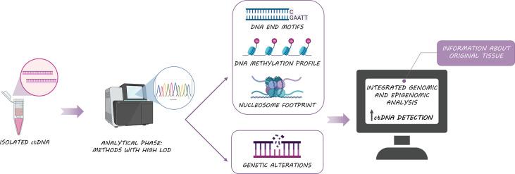 https://cdn.ncbi.nlm.nih.gov/pmc/blobs/367b/9350013/d41760f91159/fonc-12-943253-g003.jpg