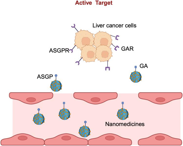 https://cdn.ncbi.nlm.nih.gov/pmc/blobs/367e/11681781/ab593c984751/IJN-19-13805-g0002.jpg