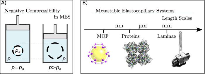 https://cdn.ncbi.nlm.nih.gov/pmc/blobs/3683/11176325/389da41fd0cb/41467_2024_49136_Fig1_HTML.jpg