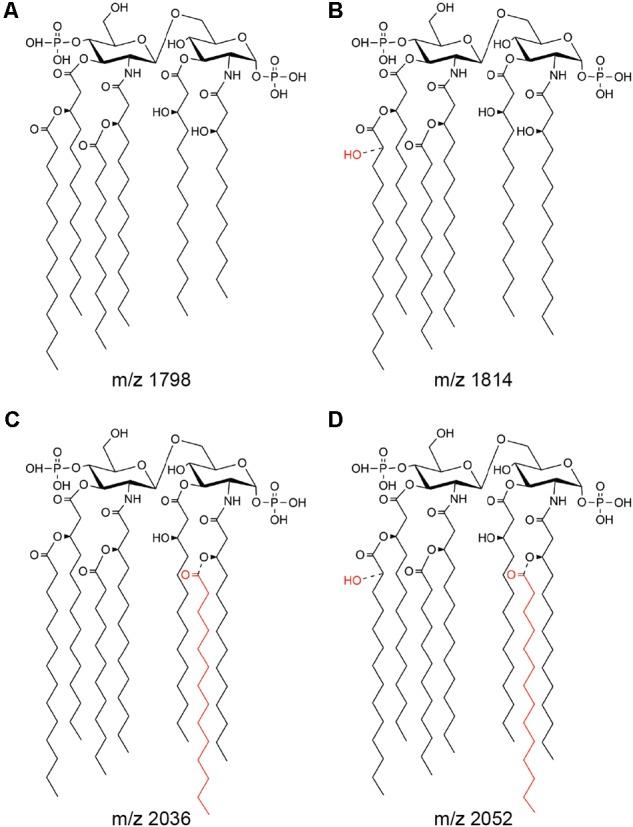 https://cdn.ncbi.nlm.nih.gov/pmc/blobs/3686/6002686/8fbc5151f370/fmicb-09-01220-g002.jpg
